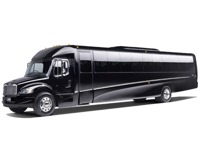 Executive Coach